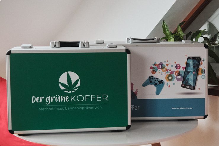 Zwei Koffer, einer grün mit Cannabis-Symbol, der andere mit bunten Motiven und Technik.