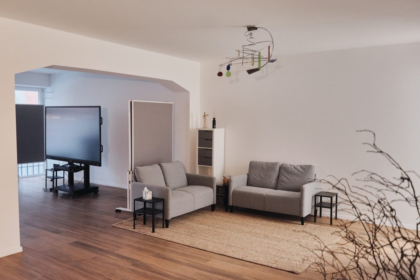 Moderne Wohnräume mit grauen Sofas, einem Fernseher und einem minimalistischen Dekor.